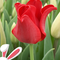 Zdrowych, spokojnych świąt Wielkanocnych, pełnych nadziei oraz miłości,
pogodnego nastroju, oraz najwspanialszych rodzinnych spotkań, wśród rodziny i najbliższych przyjaciół życzy Zespół Flowersland